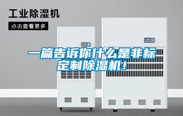 一篇告訴你什么是非標(biāo)定制除濕機！