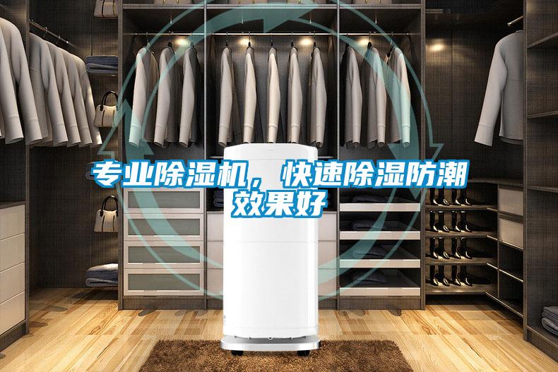 專業(yè)除濕機,快速除濕防潮效果好