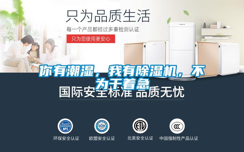 你有潮濕,我有除濕機,不為干著急