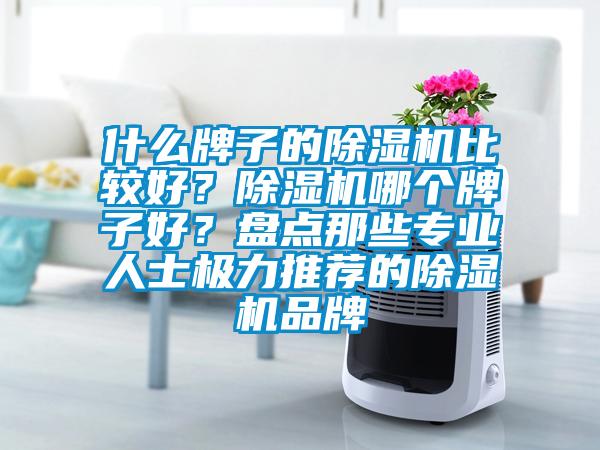 什么牌子的除濕機(jī)比較好？除濕機(jī)哪個牌子好？盤點(diǎn)那些專業(yè)人士極力推薦的除濕機(jī)品牌