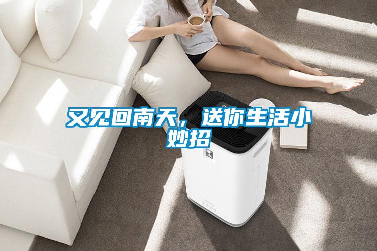 又見回南天，送你生活小妙招