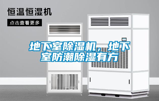 地下室除濕機，地下室防潮除濕有方