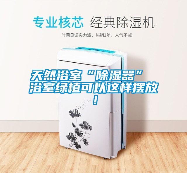 天然浴室“除濕器” 浴室綠植可以這樣擺放！