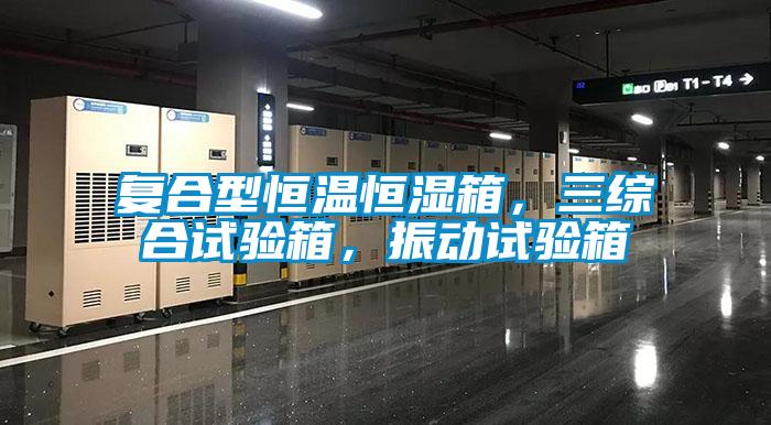 復合型恒溫恒濕箱，三綜合試驗箱，振動試驗箱