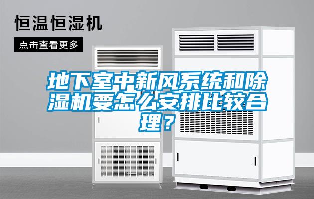 地下室中新風(fēng)系統(tǒng)和除濕機要怎么安排比較合理？