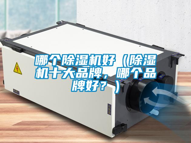 哪個(gè)除濕機(jī)好（除濕機(jī)十大品牌，哪個(gè)品牌好？）