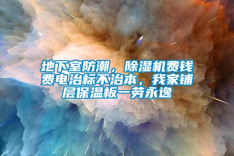 地下室防潮，除濕機費錢費電治標不治本，我家鋪層保溫板一勞永逸