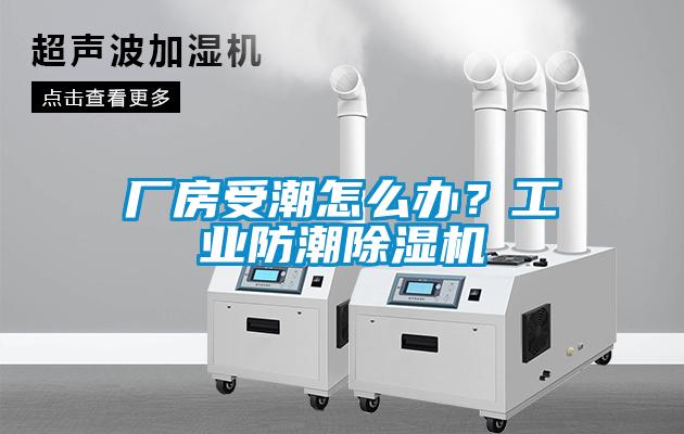 廠房受潮怎么辦？工業防潮除濕機