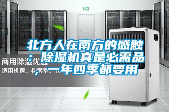 北方人在南方的感觸:除濕機真是必需品,一年四季都要用