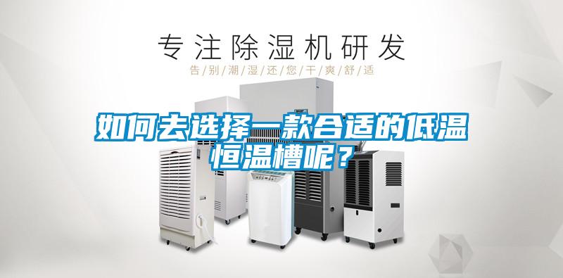 如何去選擇一款合適的低溫恒溫槽呢？