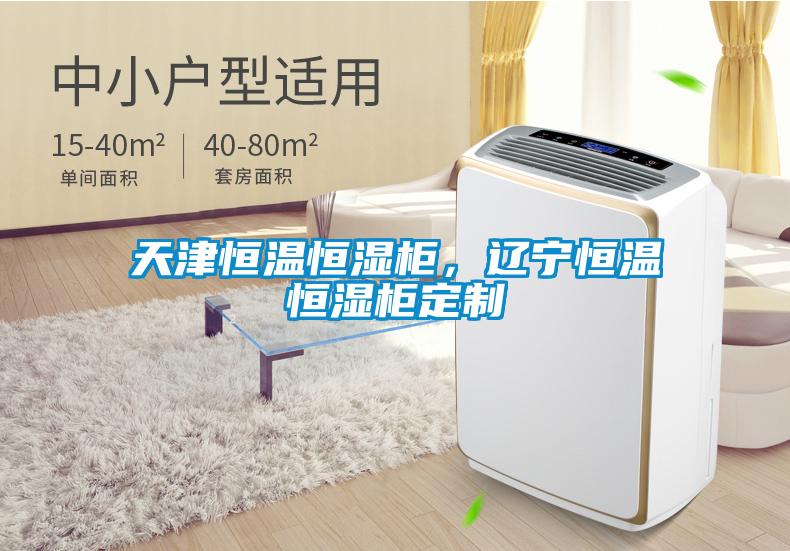 天津恒溫恒濕柜，遼寧恒溫恒濕柜定制