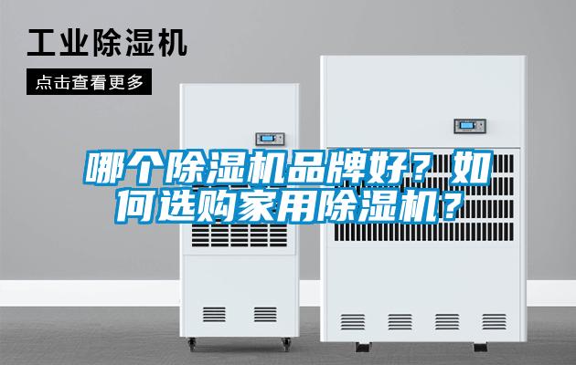 哪個除濕機品牌好？如何選購家用除濕機？