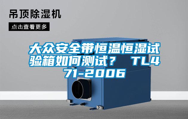 大眾安全帶恒溫恒濕試驗箱如何測試? TL471-2006
