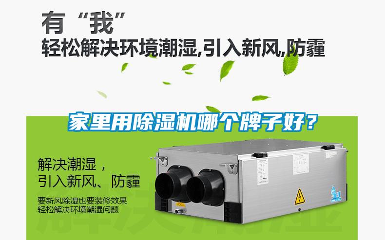 家里用除濕機哪個牌子好?