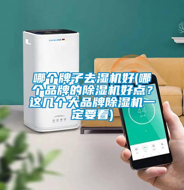 哪個牌子去濕機好(哪個品牌的除濕機好點？這幾個大品牌除濕機一定要看)