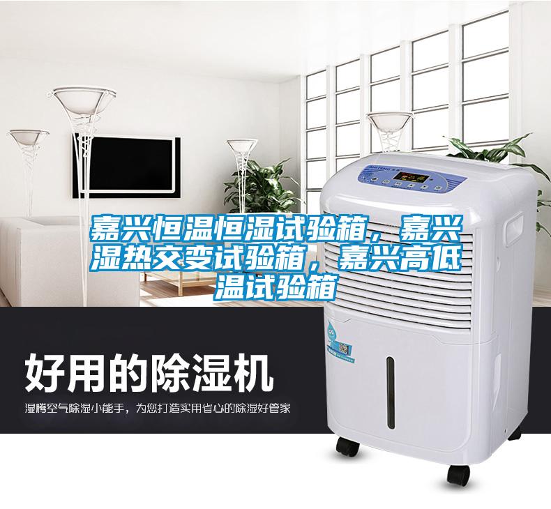 嘉興恒溫恒濕試驗箱，嘉興濕熱交變試驗箱，嘉興高低溫試驗箱