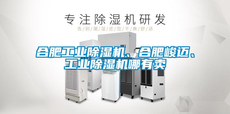 合肥工業(yè)除濕機(jī)、合肥峻邁、工業(yè)除濕機(jī)哪有賣