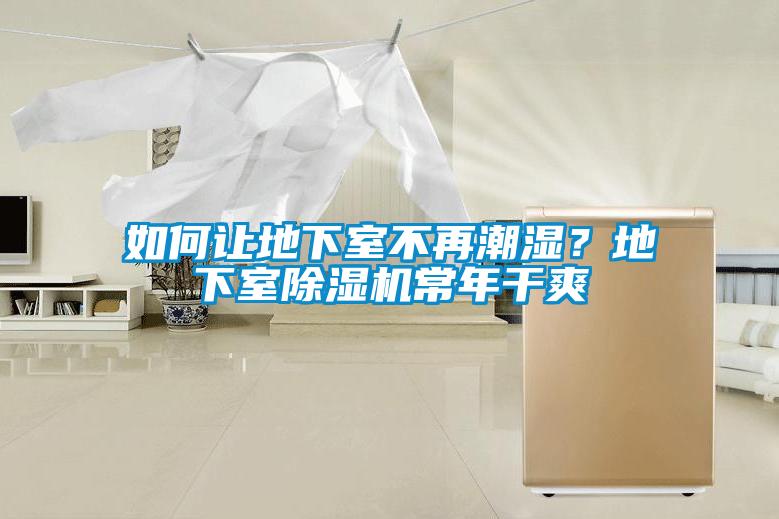 如何讓地下室不再潮濕？地下室除濕機常年干爽