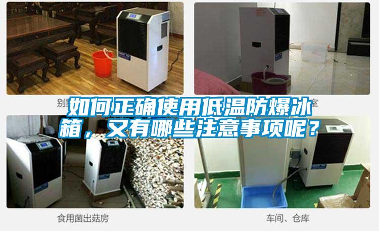 如何正確使用低溫防爆冰箱,又有哪些注意事項(xiàng)呢?