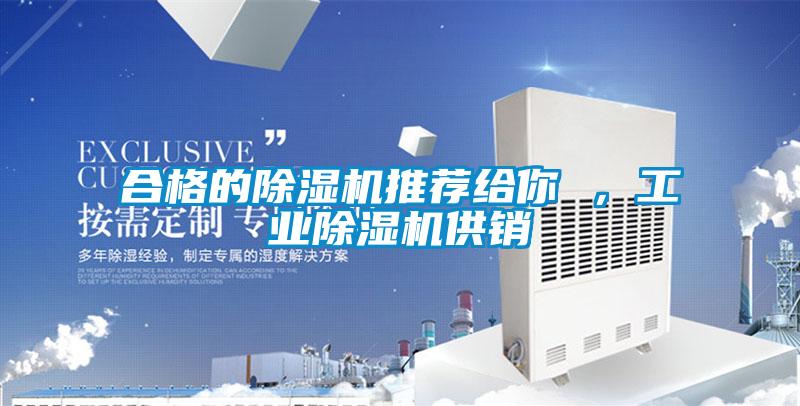 合格的除濕機推薦給你 ，工業除濕機供銷