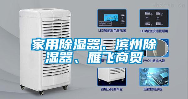 家用除濕器、濱州除濕器、雁飛商貿