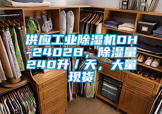 供應工業除濕機DH-2402B,除濕量240升/天,大量現貨