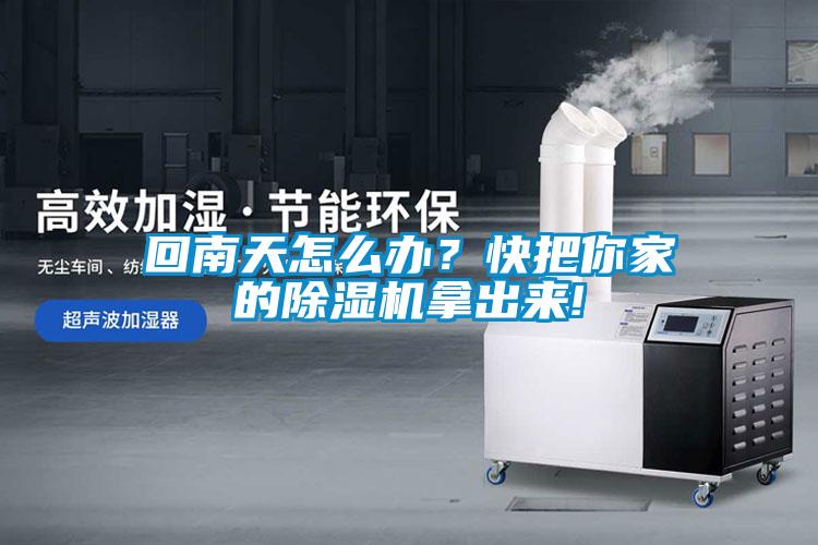 回南天怎么辦？快把你家的除濕機拿出來!
