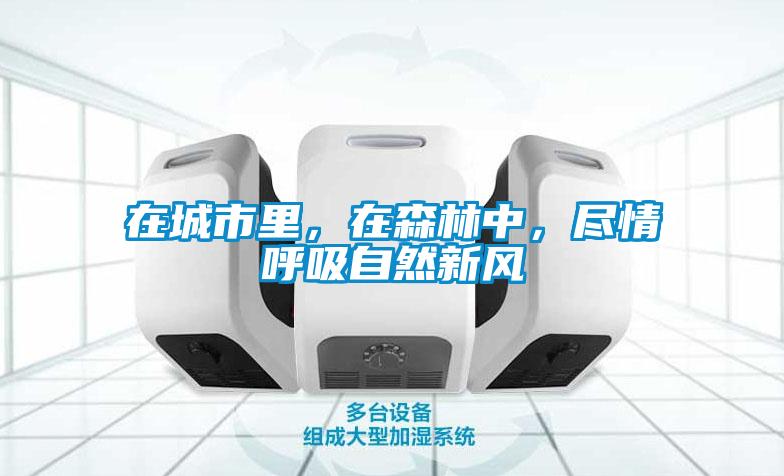 在城市里，在森林中，盡情呼吸自然新風(fēng)