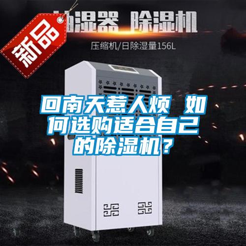 回南天惹人煩 如何選購適合自己的除濕機？