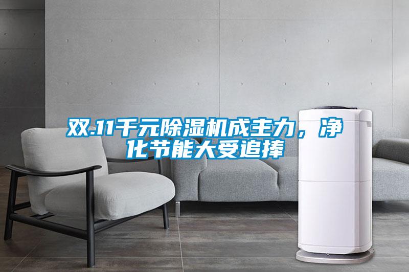 雙.11千元除濕機成主力，凈化節能大受追捧