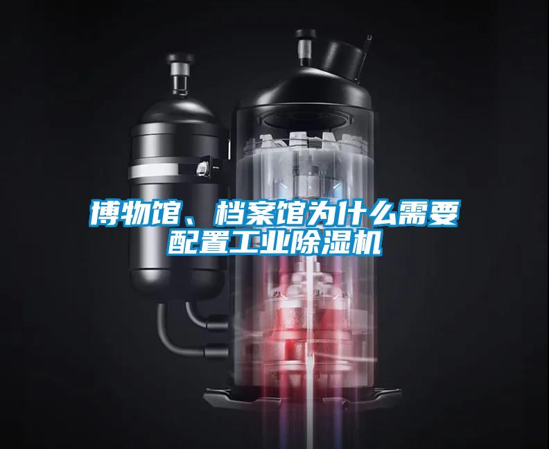 博物館、檔案館為什么需要配置工業(yè)除濕機