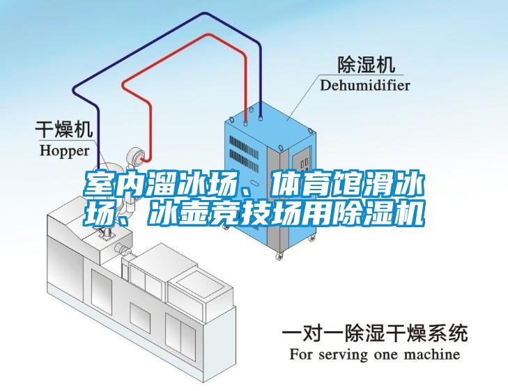 室內溜冰場、體育館滑冰場、冰壺競技場用除濕機