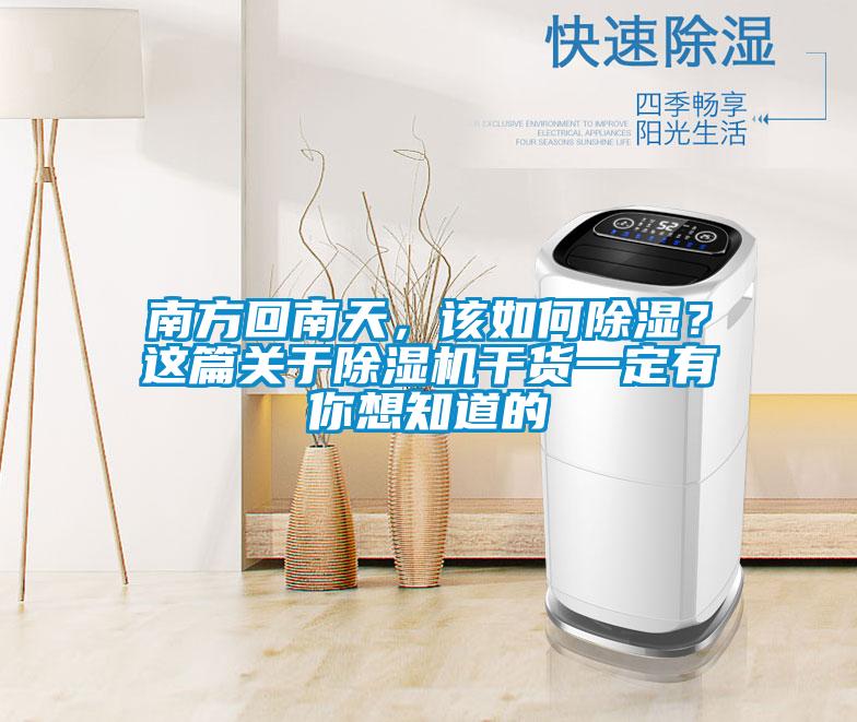 南方回南天，該如何除濕？這篇關于除濕機干貨一定有你想知道的