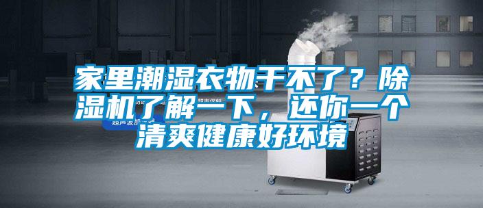 家里潮濕衣物干不了?除濕機了解一下,還你一個清爽健康好環境