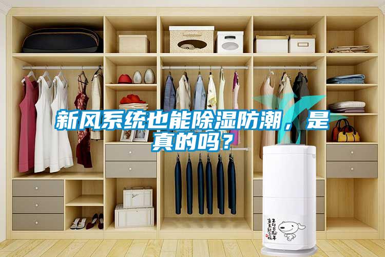 新風系統也能除濕防潮，是真的嗎？