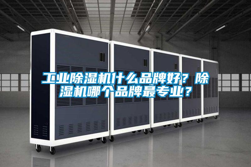 工業(yè)除濕機(jī)什么品牌好？除濕機(jī)哪個(gè)品牌最專業(yè)？