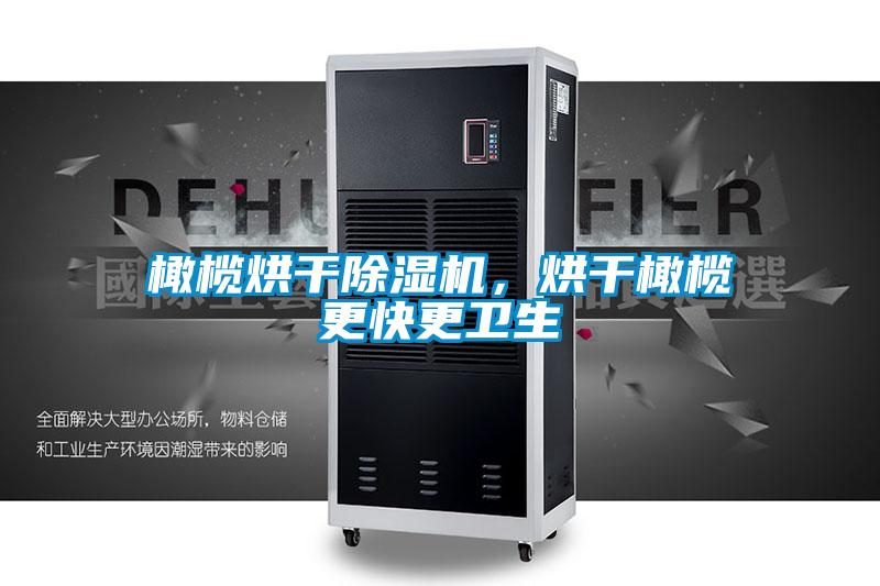 橄欖烘干除濕機(jī)，烘干橄欖更快更衛(wèi)生