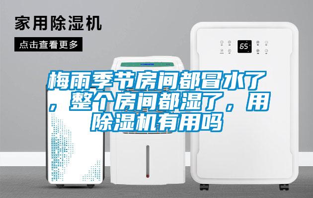 梅雨季節(jié)房間都冒水了，整個(gè)房間都濕了，用除濕機(jī)有用嗎