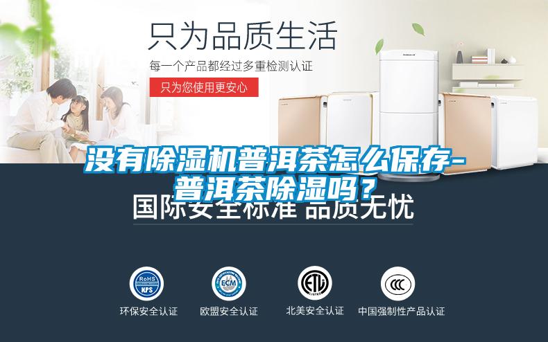 沒有除濕機普洱茶怎么保存-普洱茶除濕嗎？