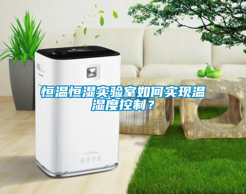 恒溫恒濕實驗室如何實現溫濕度控制？