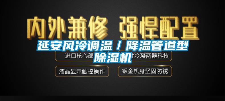 延安風冷調溫/降溫管道型除濕機