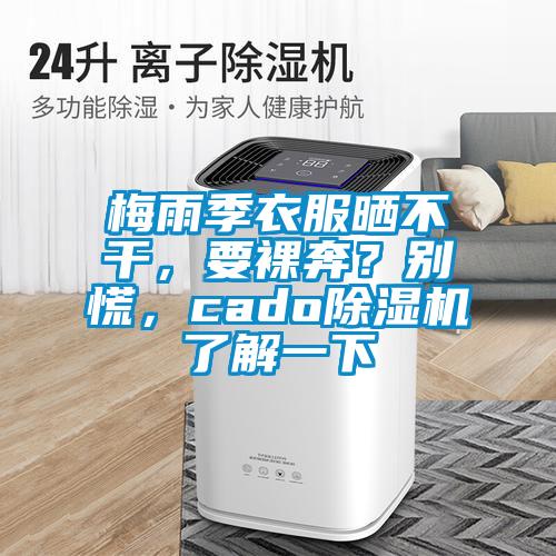 梅雨季衣服曬不干，要裸奔？別慌，cado除濕機(jī)了解一下