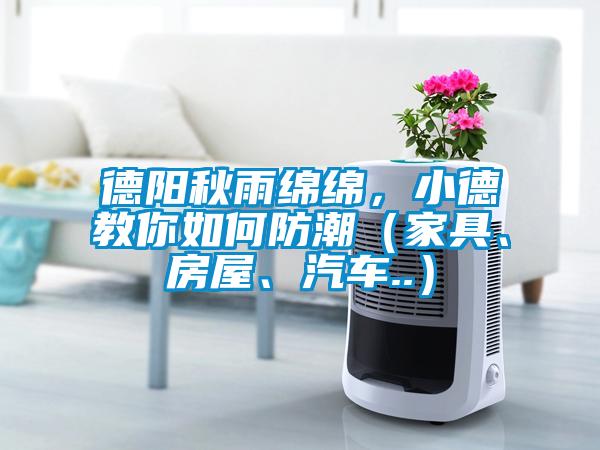 德陽秋雨綿綿,小德教你如何防潮(家具、房屋、汽車..)