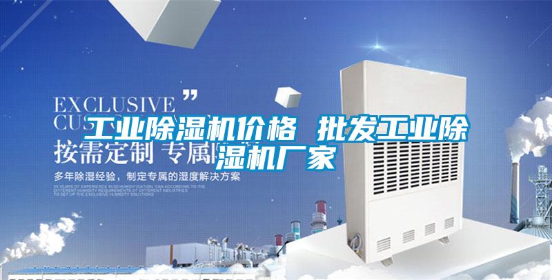 工業(yè)除濕機(jī)價(jià)格 批發(fā)工業(yè)除濕機(jī)廠(chǎng)家