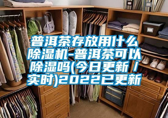 普洱茶存放用什么除濕機-普洱茶可以除濕嗎(今日更新/實時)2022已更新