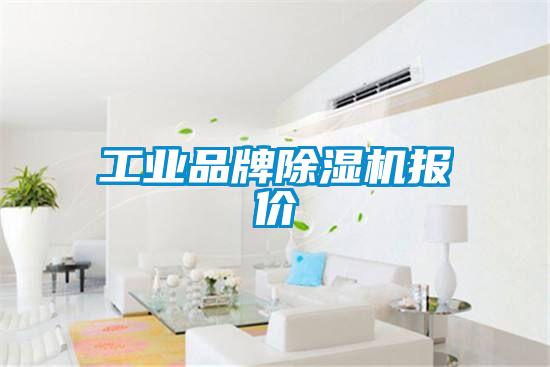 工業(yè)品牌除濕機(jī)報價