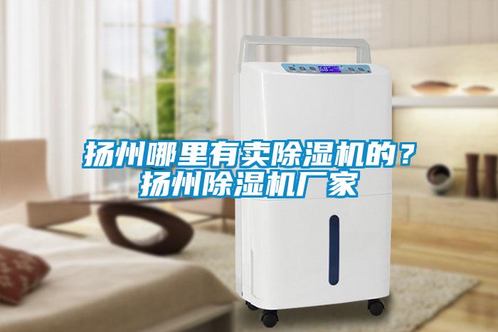 揚州哪里有賣除濕機的？揚州除濕機廠家