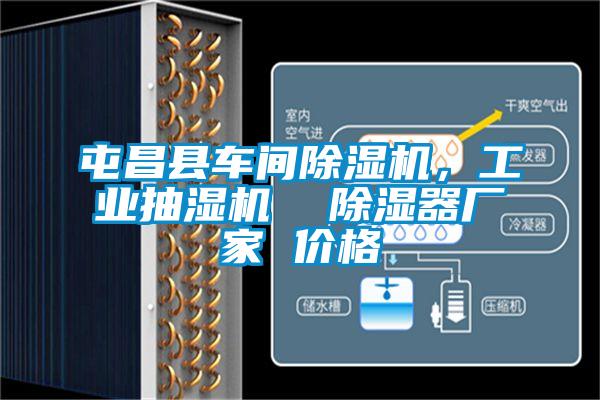 屯昌縣車間除濕機，工業抽濕機  除濕器廠家 價格