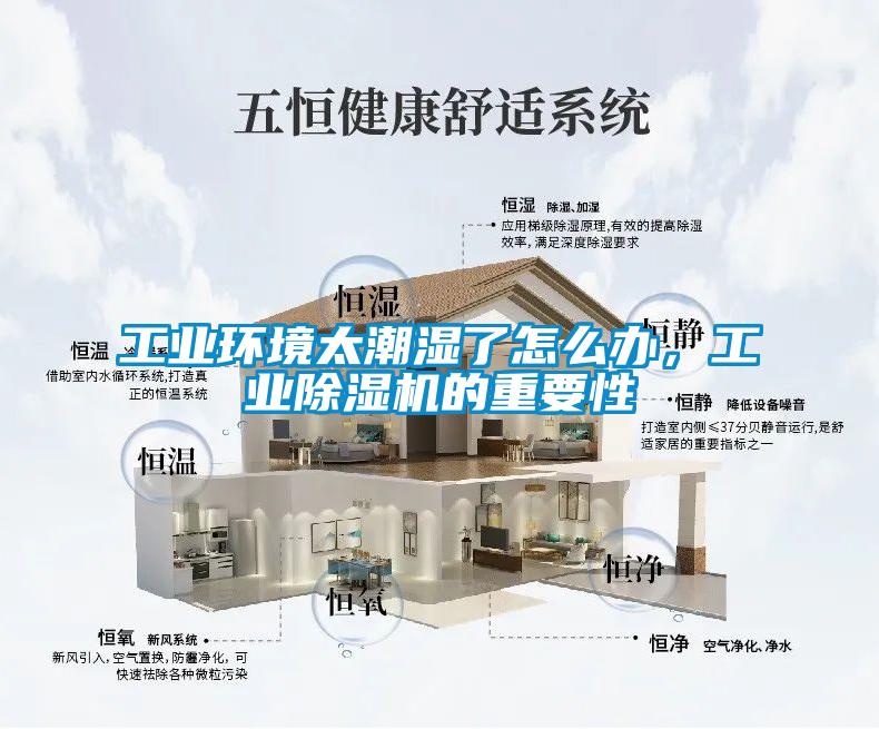 工業環境太潮濕了怎么辦，工業除濕機的重要性