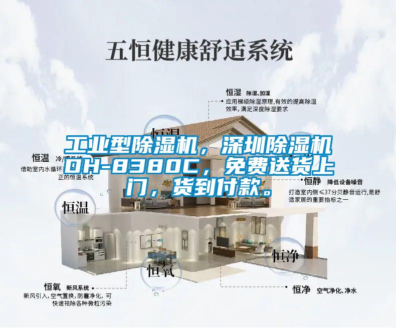 工業型除濕機，深圳除濕機DH-8380C，免費送貨上門，貨到付款。